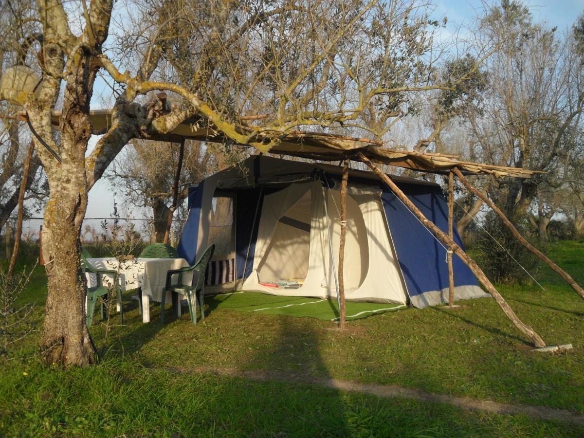 Camping Terreno-Ro-Bi-Li Hotel Кутрофиано Екстериор снимка